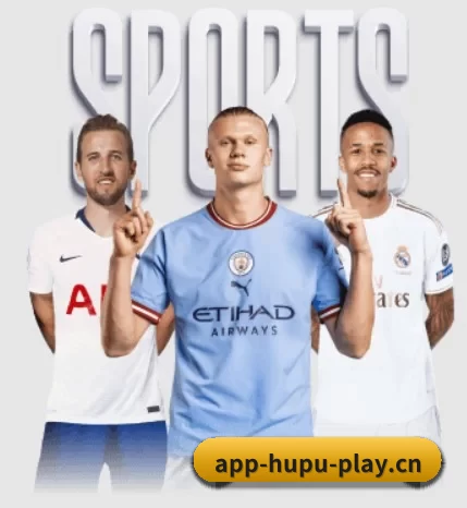 五大服务分区,信息按项目分类 | KPL